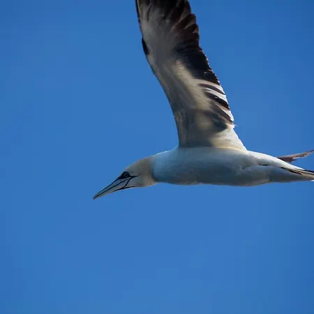 The Tide - Sørvågen