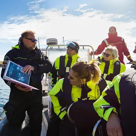 The Tide - Сёрвоген